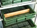 Инкубатор автоматический БЛИЦ БАЗА 520 яиц, цифровой, гигрометр