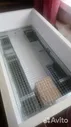 Инкубатор Блиц пк1
