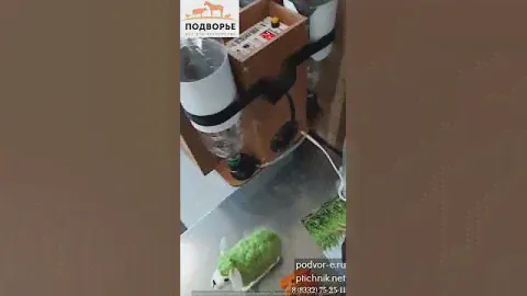 Блиц Байкал, внешний вид