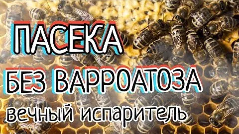 ИСПАРИТЕЛЬ ДЛЯ ЩАВЕЛЕВОЙ КИСЛОТЫ, ТЕМПЕРАТУРА ИСПАРЕНИЯ И ПРЕВРАЩЕНИЯ.