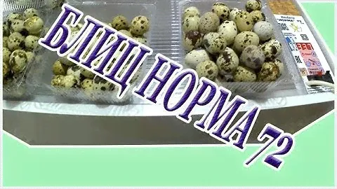 Инкубатор Блиц норма 72 С-8 //Честный обзор