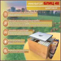<strong>Инкубатор</strong> <strong>Блиц</strong> <strong>48</strong> цифровой коричневый-0